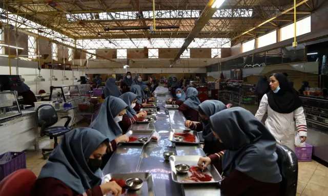 mujeres trabajando en fábrica de azafrán